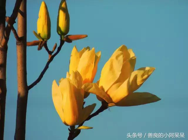 汉寿县株木山乡清水逸苑农庄,常德农家乐推荐,休闲垂钓,休闲烧烤 汉寿县株木山乡清水逸苑农庄,常德农家乐推荐,休闲垂钓,休闲烧烤