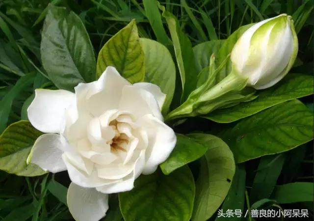 汉寿县株木山乡清水逸苑农庄,常德农家乐推荐,休闲垂钓,休闲烧烤 汉寿县株木山乡清水逸苑农庄,常德农家乐推荐,休闲垂钓,休闲烧烤